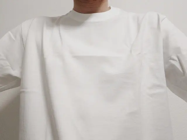 ヘインズの半袖Tシャツ シンプルなデザイン