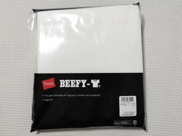 ヘインズの半袖Tシャツ 裏面