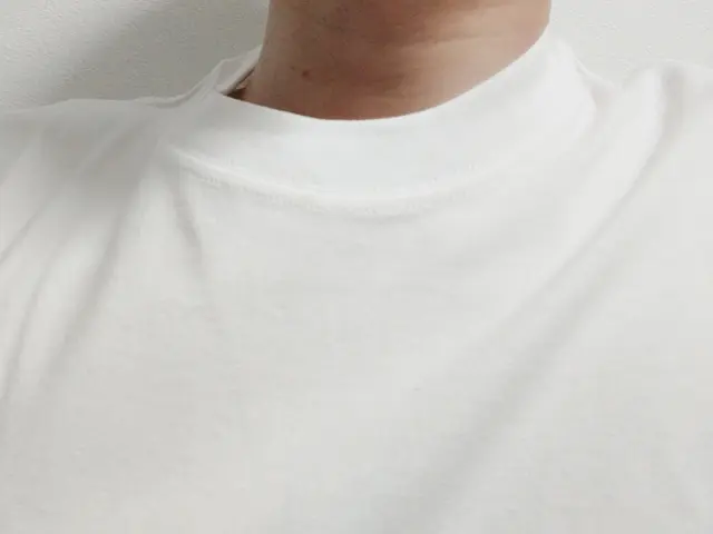 ヘインズの半袖Tシャツ 人気の理由